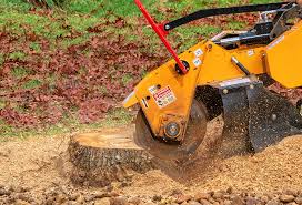 Best Tree Mulching  in Clay City, IN